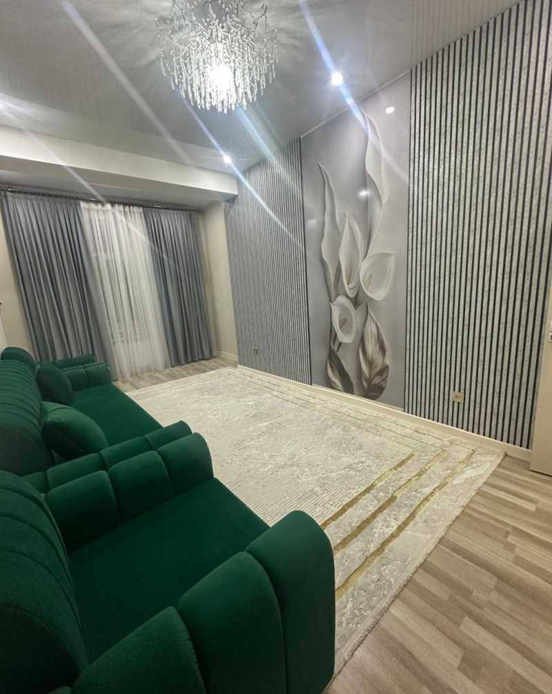 New Furnished 2-Room Apartment in Molodezhny
